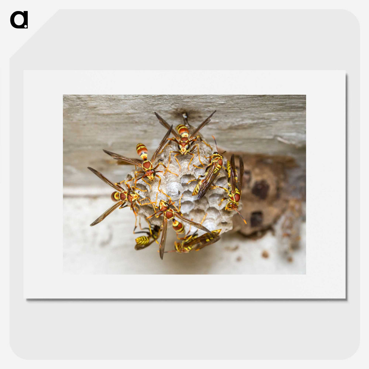 3-32_Insects-Unlocked-Project_picture