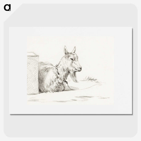 3-32_Jean-Bernard_picture
