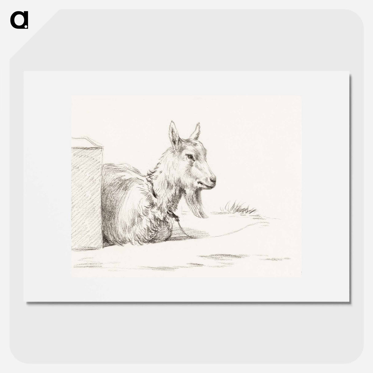 Goat half lying in a pen - ジャン ベルナール Poster.