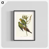 3-32_John-Gould_blk