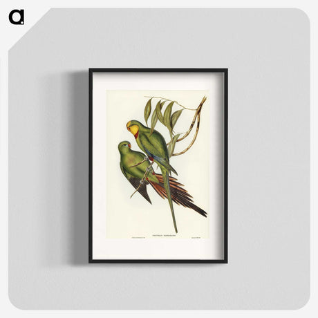 3-32_John-Gould_blk