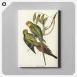 3-32_John-Gould_canvas