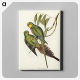 3-32_John-Gould_canvas