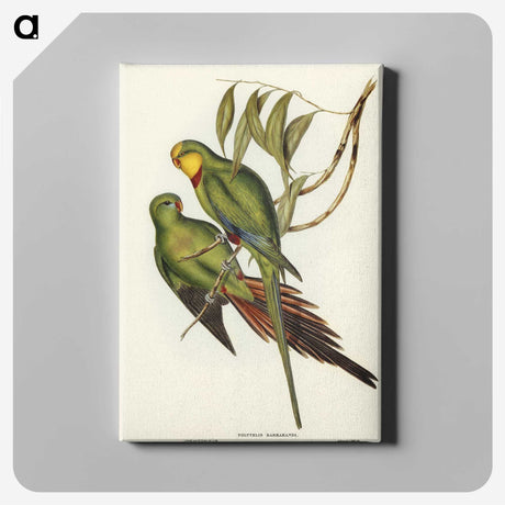 3-32_John-Gould_canvas