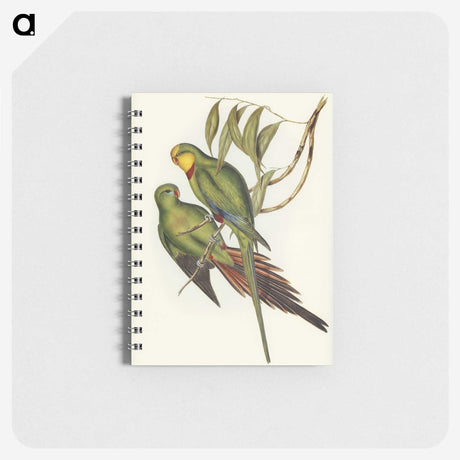 3-32_John-Gould_memo