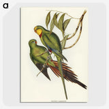 3-32_John-Gould_picture-crop