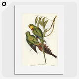 3-32_John-Gould_picture