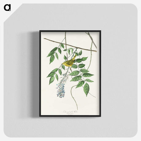 3-32_John-James-Audubon_blk-crop
