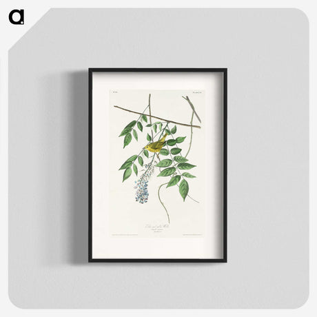3-32_John-James-Audubon_blk