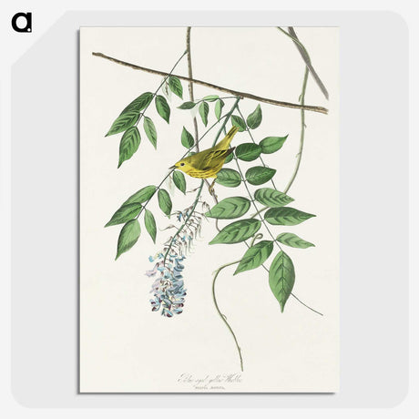 3-32_John-James-Audubon_picture-crop