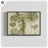 3-32_National-Library-of-Medicine_blk-crop