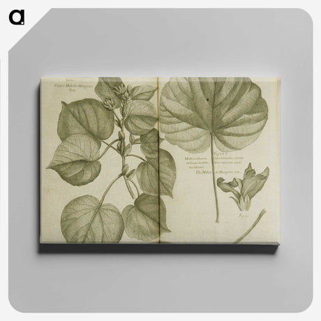 3-32_National-Library-of-Medicine_canvas