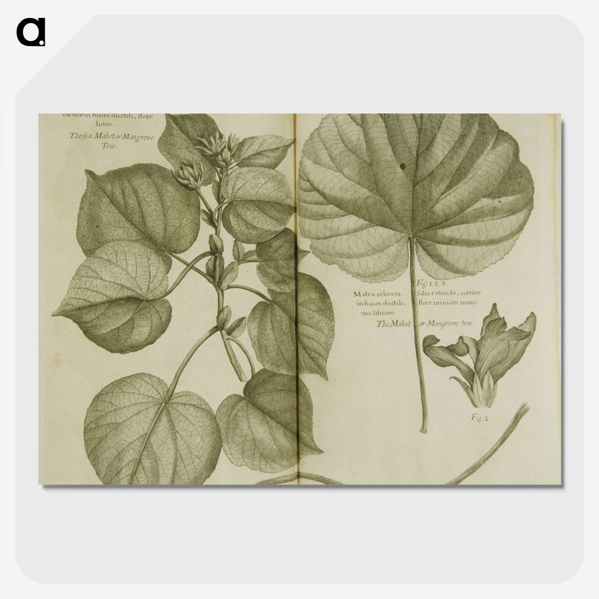 3-32_National-Library-of-Medicine_picture-crop