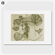 3-32_National-Library-of-Medicine_picture