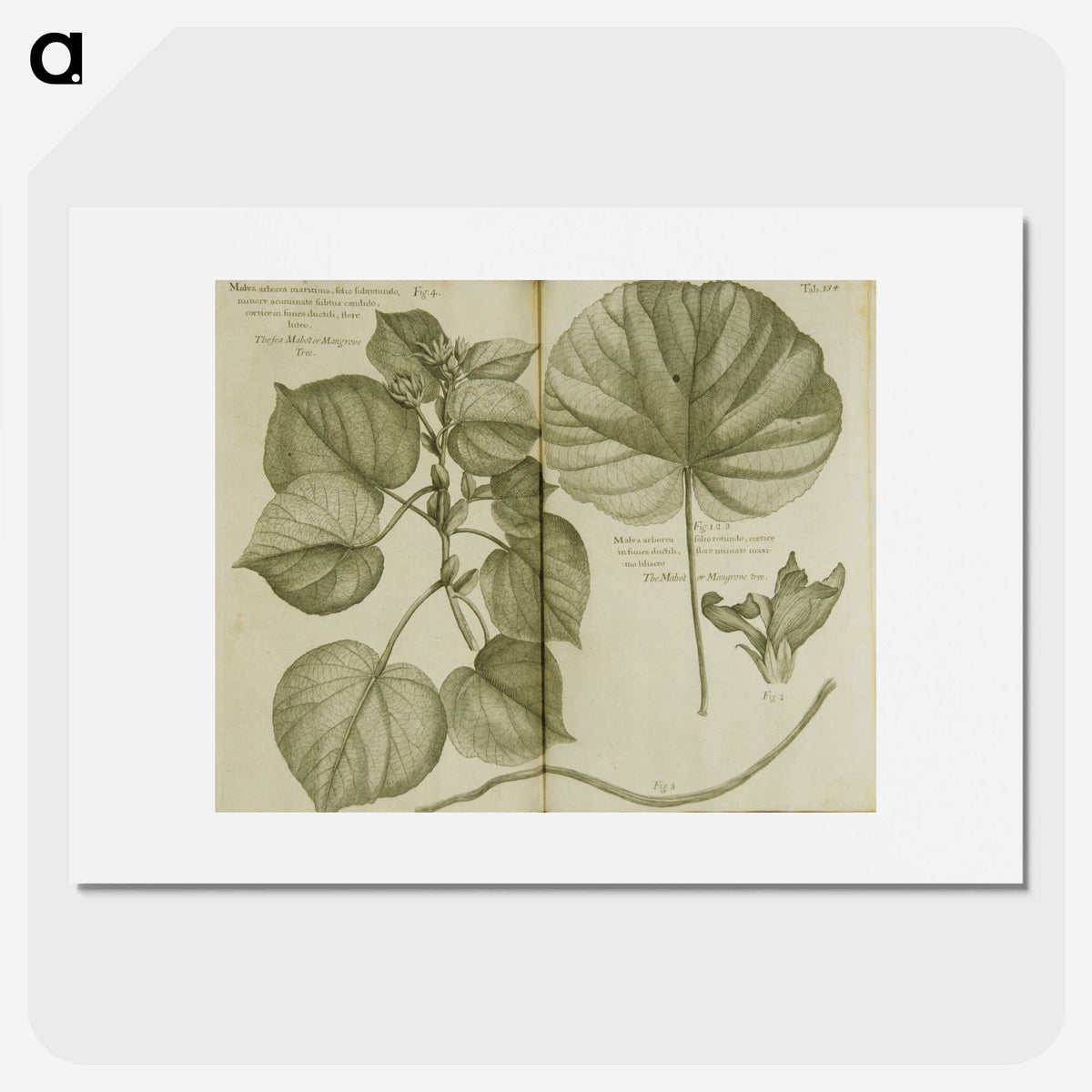 3-32_National-Library-of-Medicine_picture