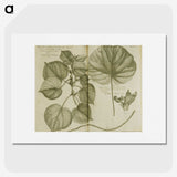 3-32_National-Library-of-Medicine_picture