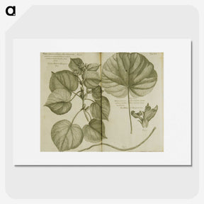 3-32_National-Library-of-Medicine_picture