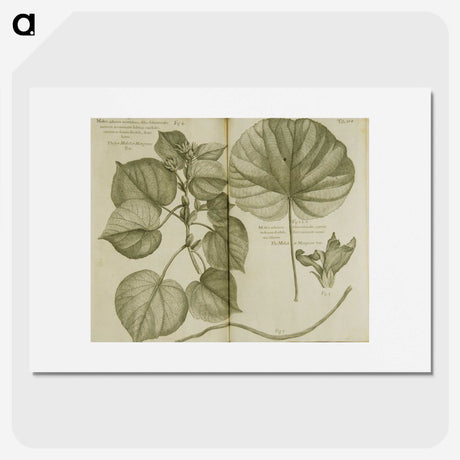 3-32_National-Library-of-Medicine_picture