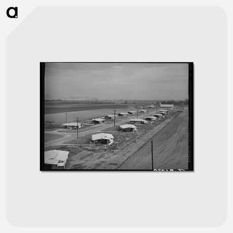 アートポストカード-Mineral King Cooperative Farm
 - ラッセル リー Postcard.