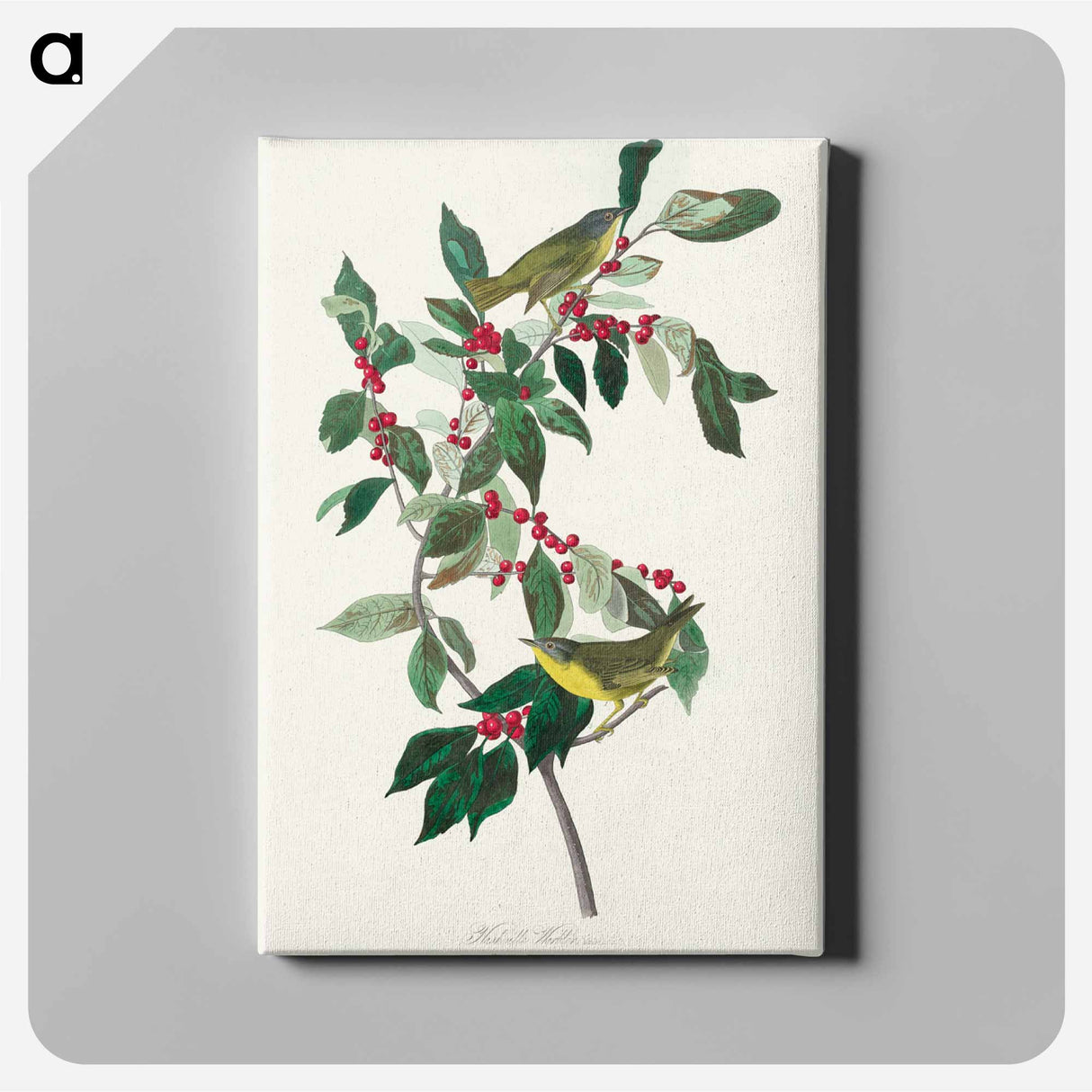 アートパネル-Nashville Warbler
 - アメリカの鳥たち Canvas.
