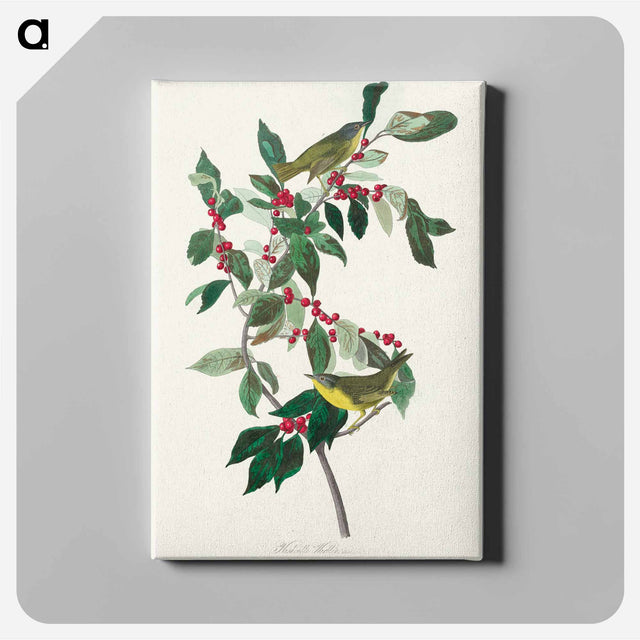 アートパネル-Nashville Warbler
 - アメリカの鳥たち Canvas.