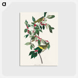 アートポストカード-Nashville Warbler
 - アメリカの鳥たち Postcard.