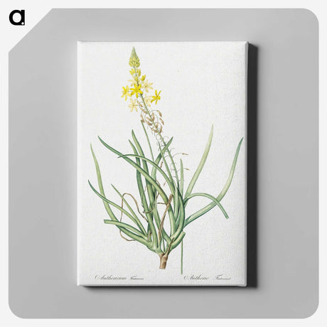 3-32_The-Lilies_canvas