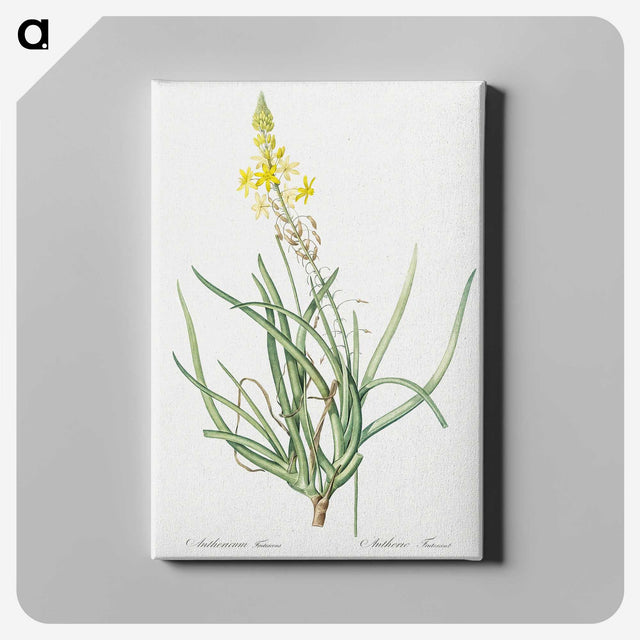 3-32_The-Lilies_canvas