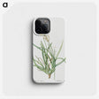 3-32_The-Lilies_phone