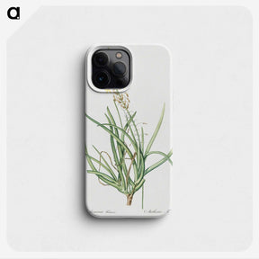 3-32_The-Lilies_phone