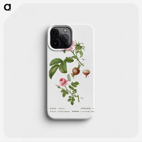 3-32_Treatise-on-Trees-and-Shrubs_phone