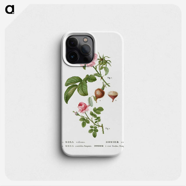 3-32_Treatise-on-Trees-and-Shrubs_phone