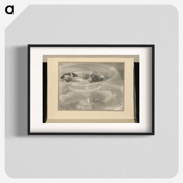 3-33_Alfred-Stieglitz_blk