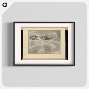 アートポスター-Still Life [water lilies] - アルフレッド スティーグリッツ Poster.