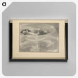 3-33_Alfred-Stieglitz_canvas