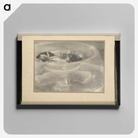 3-33_Alfred-Stieglitz_canvas