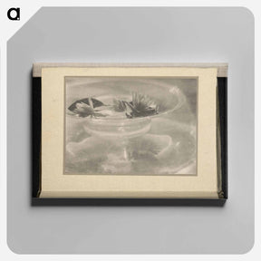 アートパネル-Still Life [water lilies] - アルフレッド スティーグリッツ Canvas.