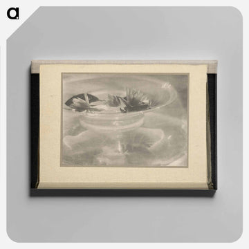 Still Life [water lilies] - アルフレッド スティーグリッツ Canvas.