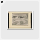 アートポストカード-Still Life [water lilies] - アルフレッド スティーグリッツ Postcard.