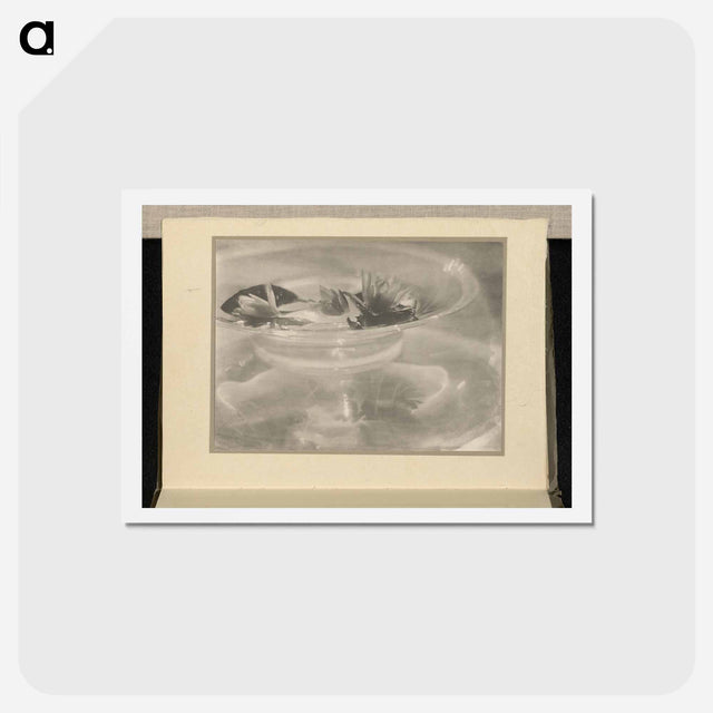 アートポストカード-Still Life [water lilies] - アルフレッド スティーグリッツ Postcard.