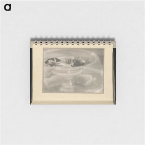 3-33_Alfred-Stieglitz_memo