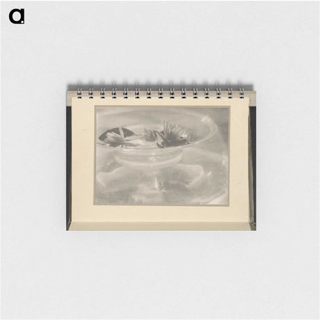 3-33_Alfred-Stieglitz_memo