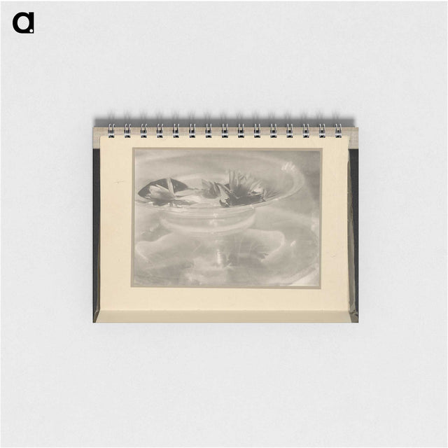 3-33_Alfred-Stieglitz_memo