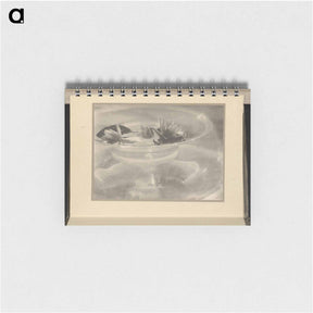 アートメモ帳-Still Life [water lilies] - アルフレッド スティーグリッツ Memo.