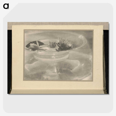 3-33_Alfred-Stieglitz_picture-crop