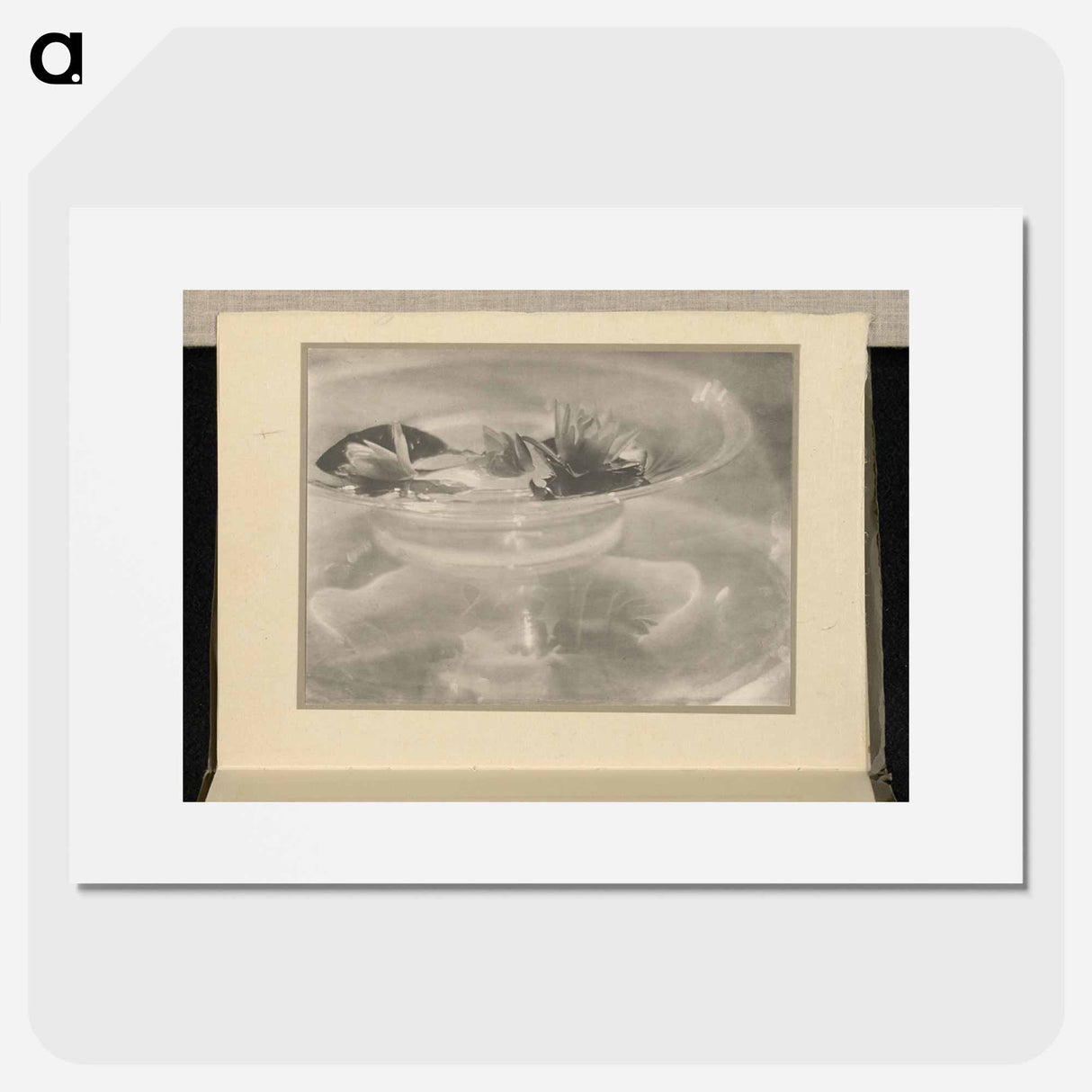 Still Life [water lilies] - アルフレッド スティーグリッツ Poster.