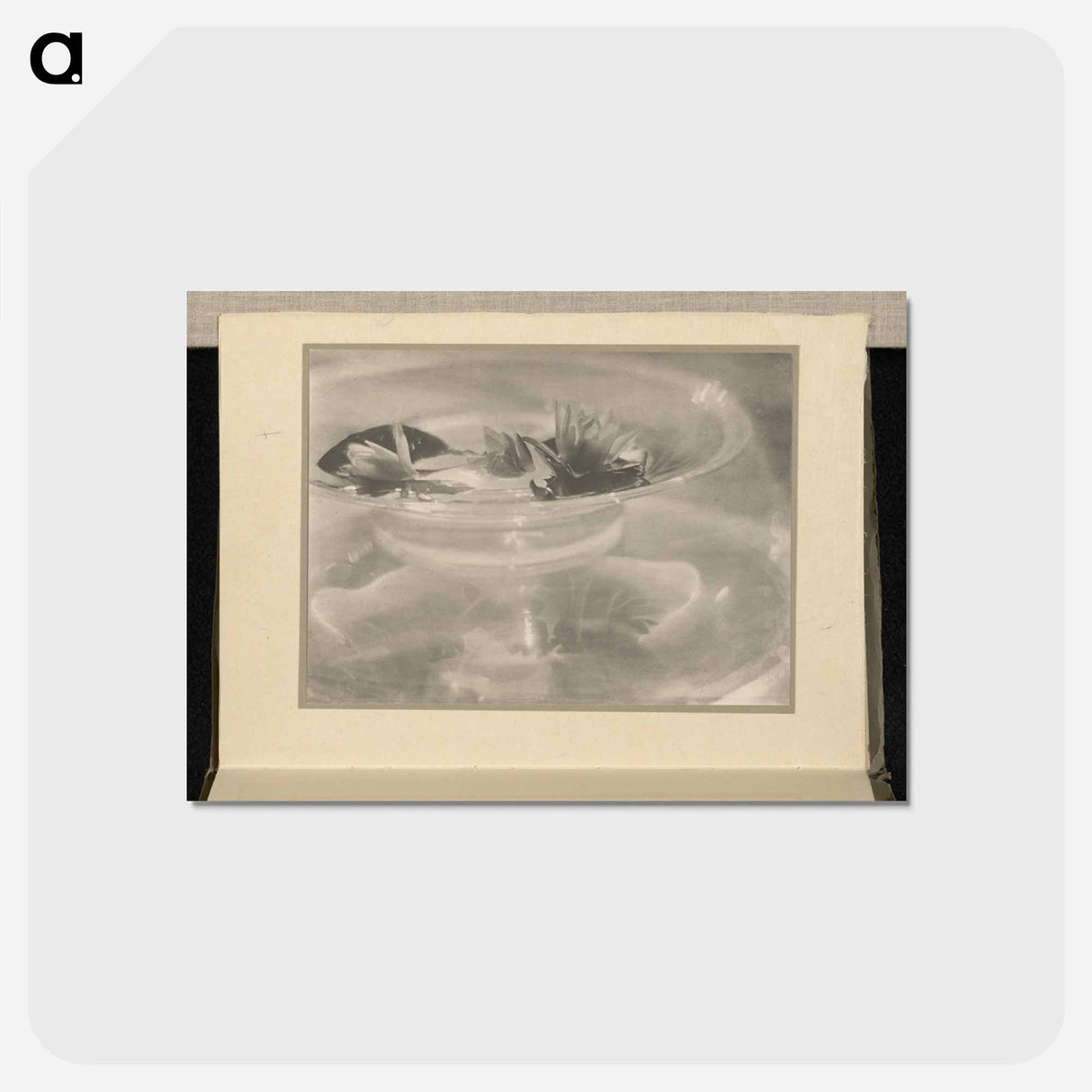 アートポストカード-Still Life [water lilies] - アルフレッド スティーグリッツ Postcard.