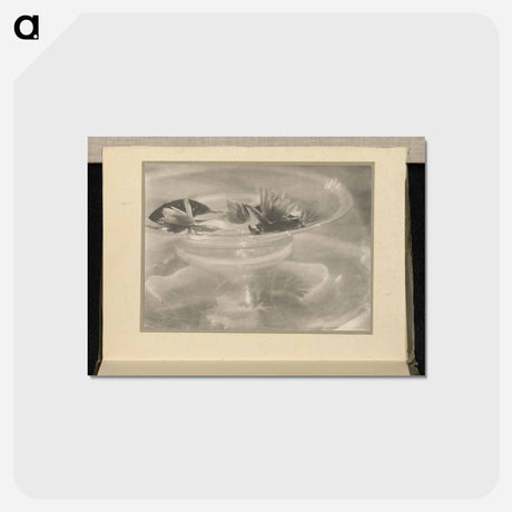 アートポストカード-Still Life [water lilies] - アルフレッド スティーグリッツ Postcard.