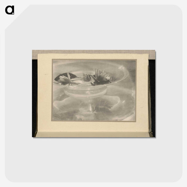 3-33_Alfred-Stieglitz_postcard