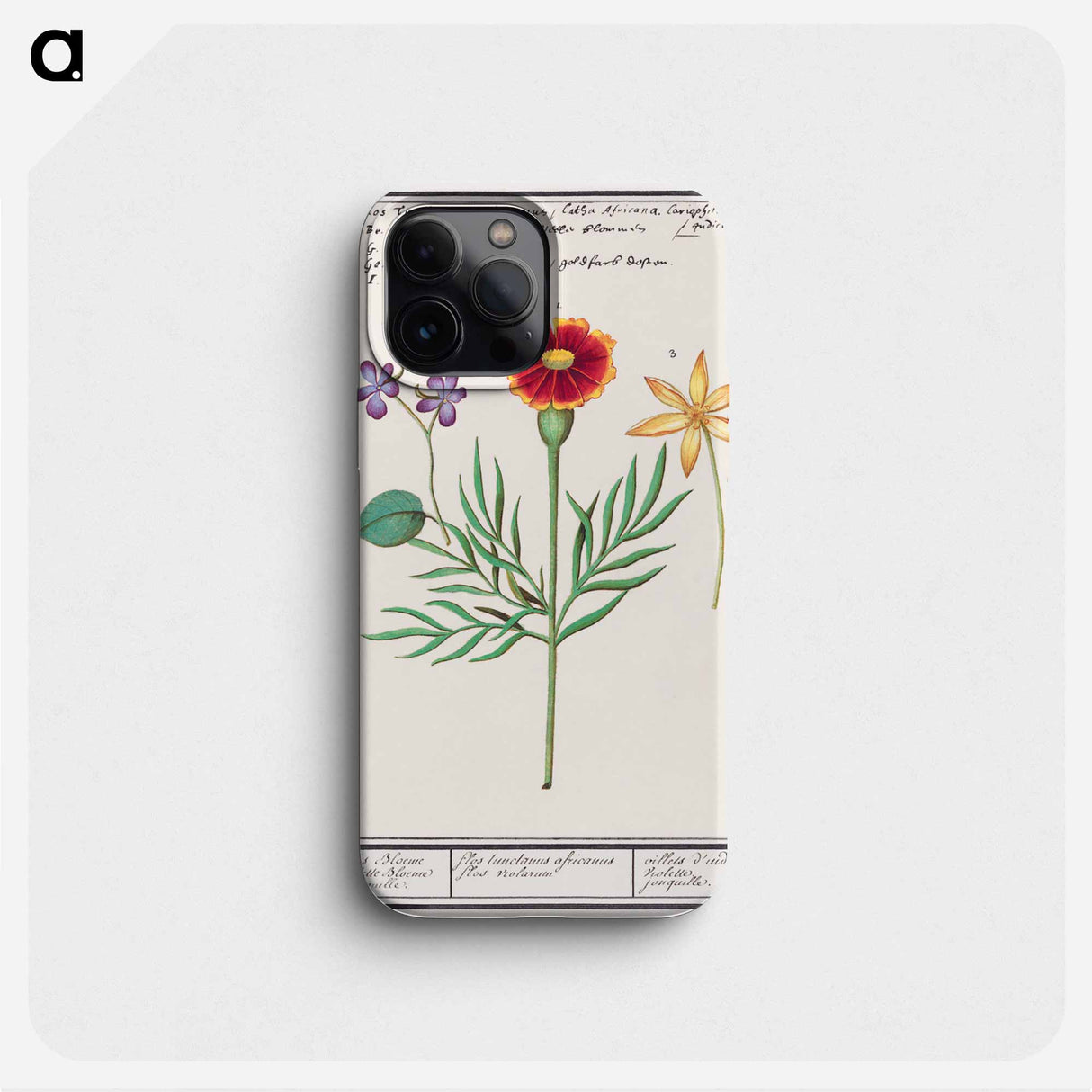Tagetes, violet, Viola and daffodil, Narcissus - アンセルムス ボエティウス デ ブート Phone Case.
